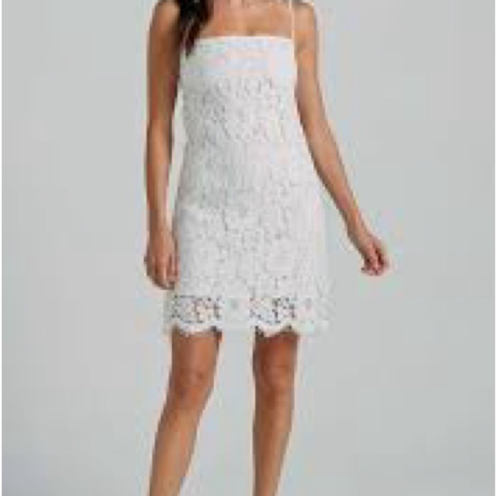 Showpo White Floral Lace Dress